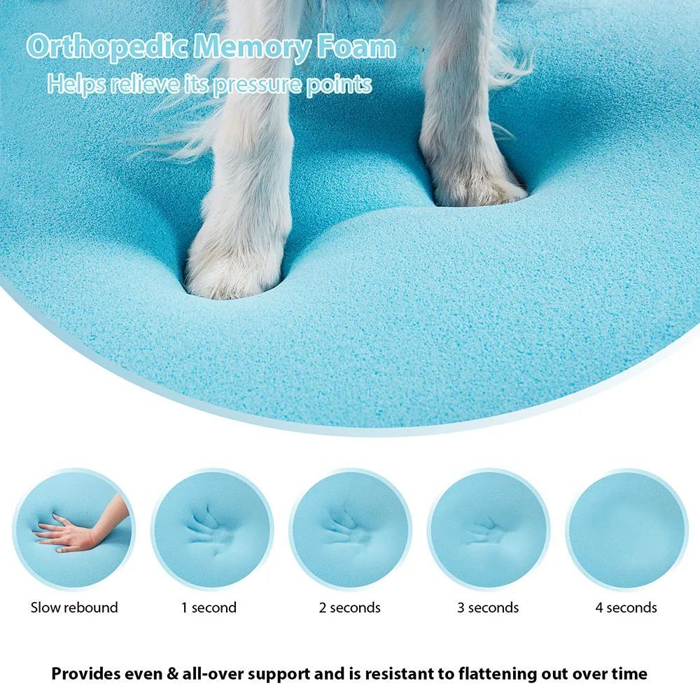 Cuscino Ortopedico per Cani – Comfort e riposo di qualità 🐶🛏